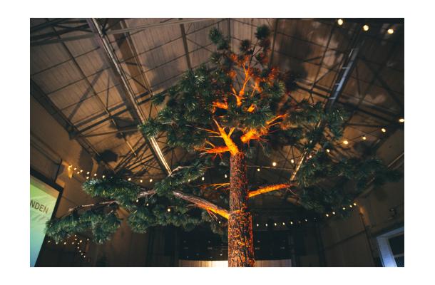 FÆK | Tree Pine-tree