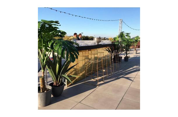 FÆK | Plant Agave green in Ecopot 30 grey