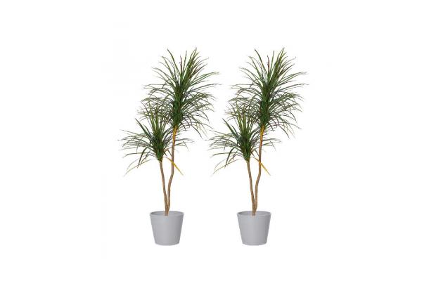 FÆK | Plant Dracenea green-red 330 in Ecopot 40 light grey