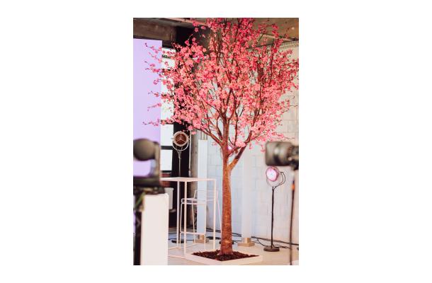 FÆK | Tree Cherry blossom pink 400