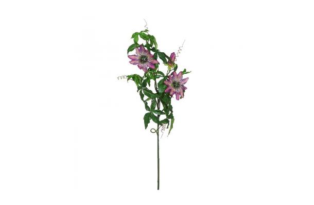 FÆK | Flowers Passiflora purple 30pc