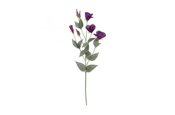 FÆK | Flowers Lisianthus purple 60pc