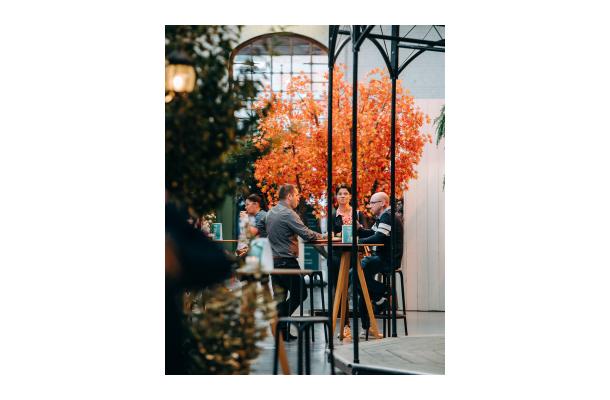 FÆK | Tree Maple red 360