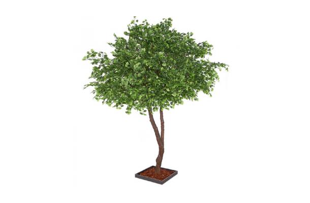 FÆK | Tree Ginkgo green two stems 350
