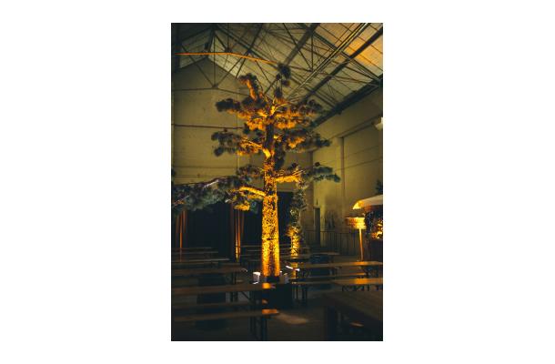 FÆK | Tree Pine-tree