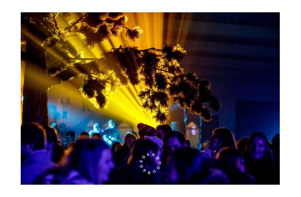 FÆK | Tree Pine-tree