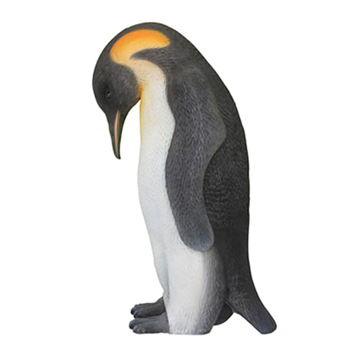 Pinguïn Mannetje