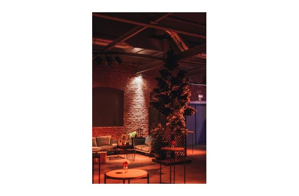 FÆK | Christmastree green 300/460