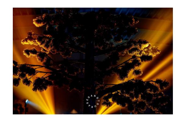 FÆK | Tree Pine-tree