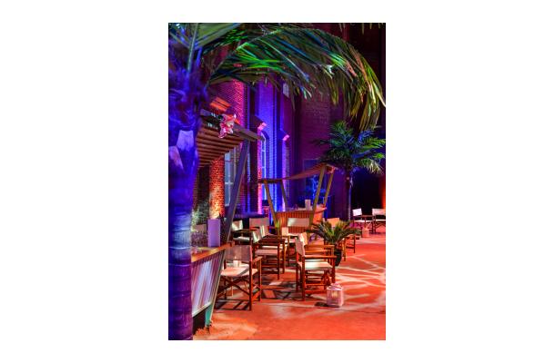 FÆK | Tree Palmtree