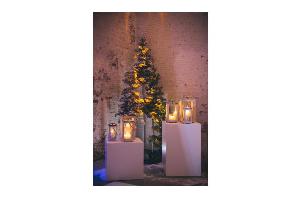 FÆK | Christmastree green 265 cm