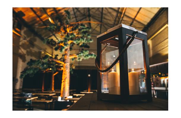 FÆK | Tree Pine-tree