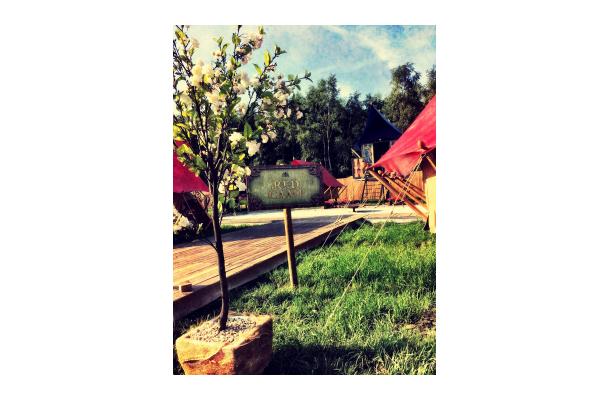 FÆK | Plant Cherry blossom white 200 in Ecopot 30 light grey