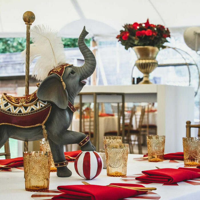 Circus Olifant Circus Olifant