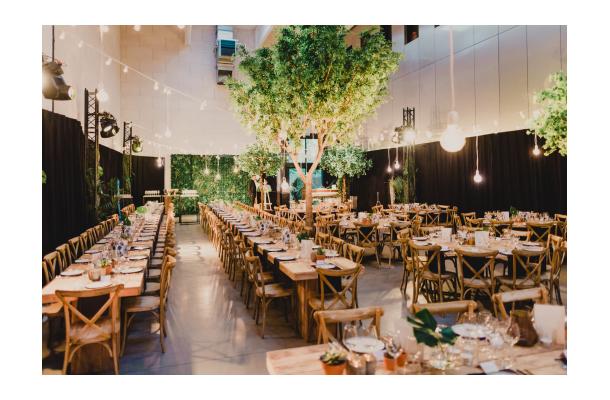 FÆK | Tree Green Ficus 615