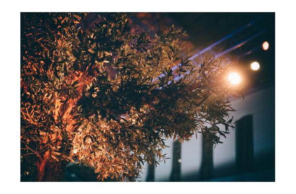 FÆK | Tree Olive tree 320