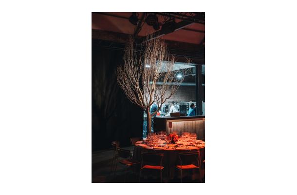 FÆK | Winter poplar tree 450