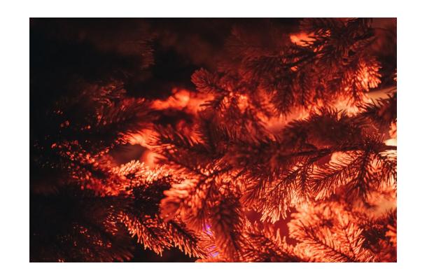 FÆK | Christmastree green 300/460