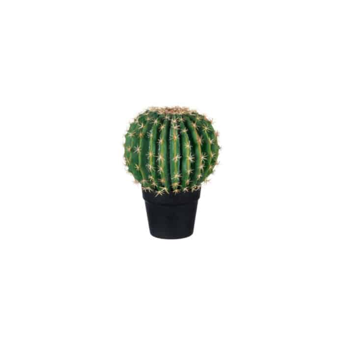 Cactus Denzil large