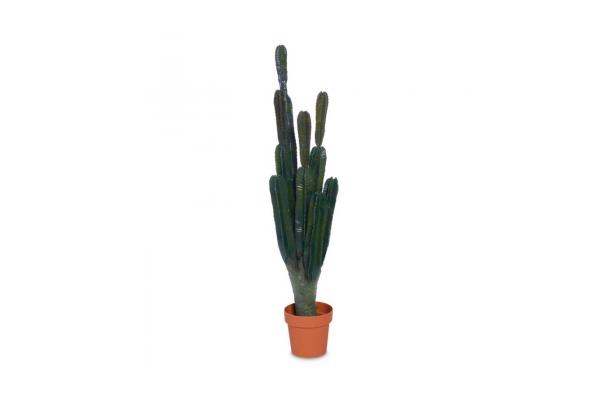 FÆK | Plant Cactus 125