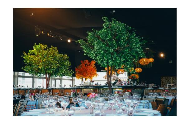 FÆK | Tree Ginkgo green two stems 350