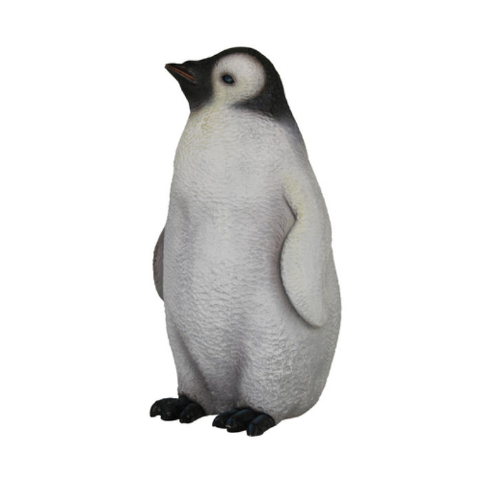 Pinguïn Jong