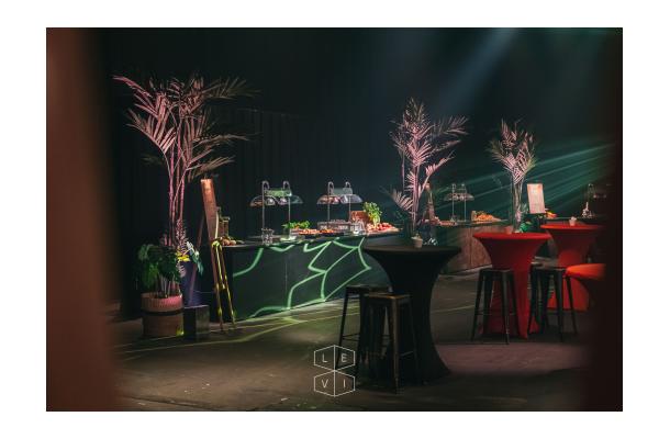 Warmtelamp 2lamp+ grondplaat 2/1GN 220V