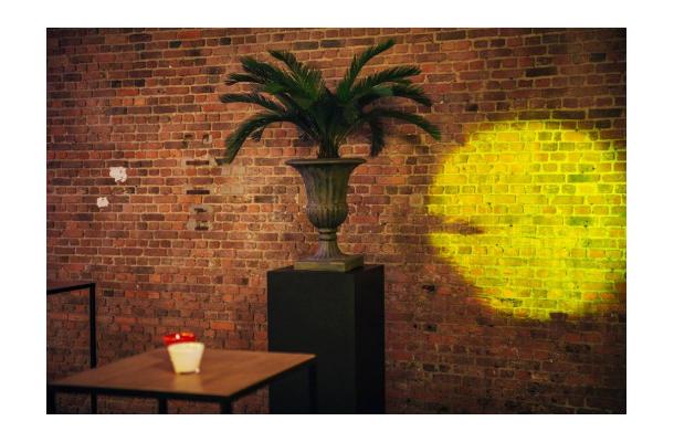 FÆK | Plant Cycas palm in Ecopot 30 grey