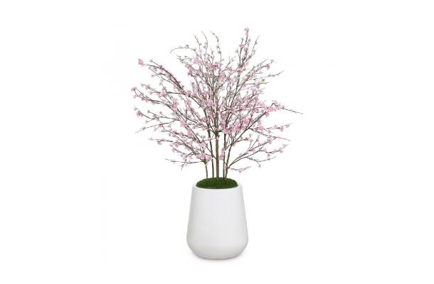 FÆK | Flowers Cherry blossom - Big