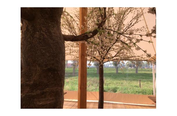 FÆK | Tree Cherry Blossom white 400