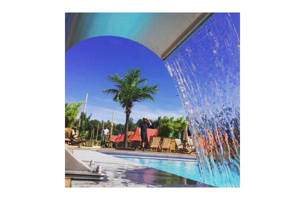 FÆK | Tree Palmtree