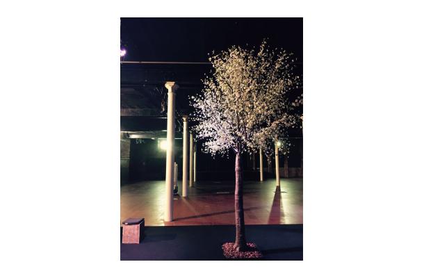 FÆK | Tree Cherry Blossom white 400