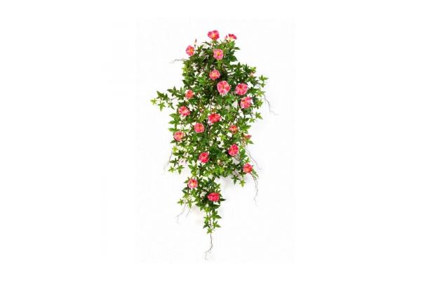 FÆK | Flowers Morning Glory bush pink /5pc