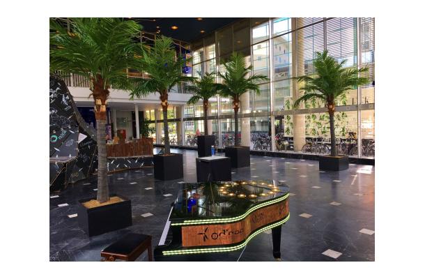 FÆK | Tree Palmtree