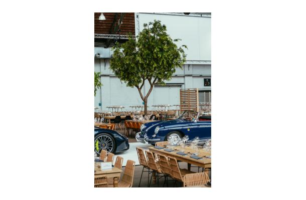 FÆK | Tree Green Ficus 615