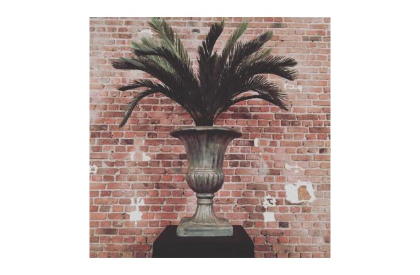 FÆK | Plant Cycas palm in Ecopot 30 grey
