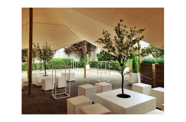 FÆK | Plant Cherry blossom white 200 in Ecopot 30 light grey