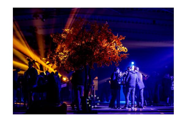 FÆK | Tree Ginkgo yellow two stems 350