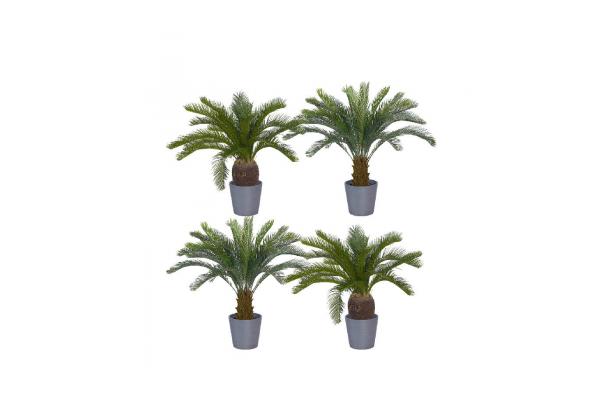 FÆK | Plant Cycas palm in Ecopot 30 grey
