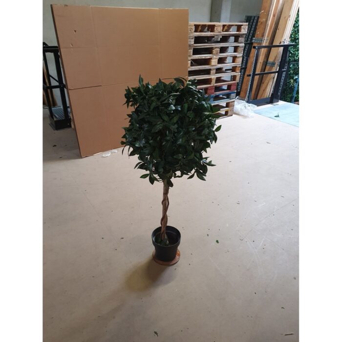 Laurierboom 120cm
