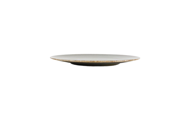 Plato bord Ø 21 cm (35 stuks) Plato bord Ø 21 cm (35 stuks)