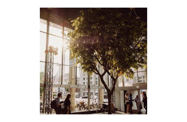 FÆK | Tree Green Ficus 615