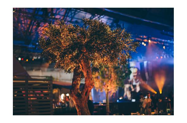 FÆK | Tree Olive tree 320