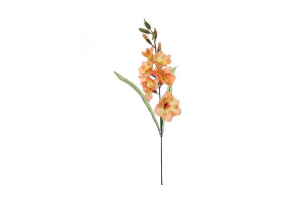 FÆK | Flowers Gladiolus orange 60pc