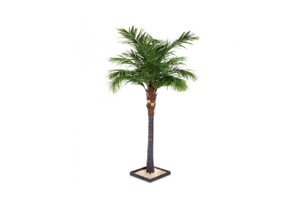 FÆK | Tree Palmtree