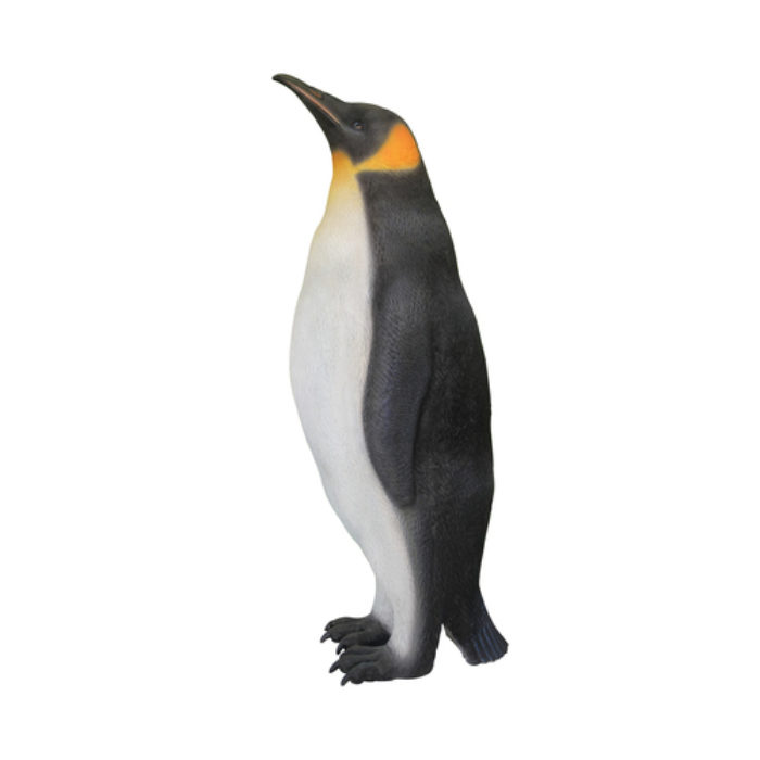 Pinguïn Vrouwtje
