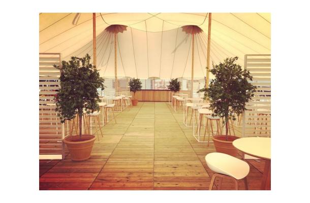 FÆK | Plant Maple green 210 in Ecopot 40 taupe