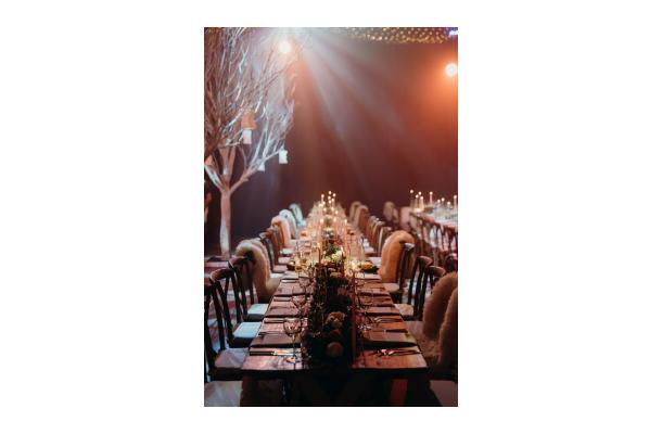 FÆK | Winter poplar tree 450