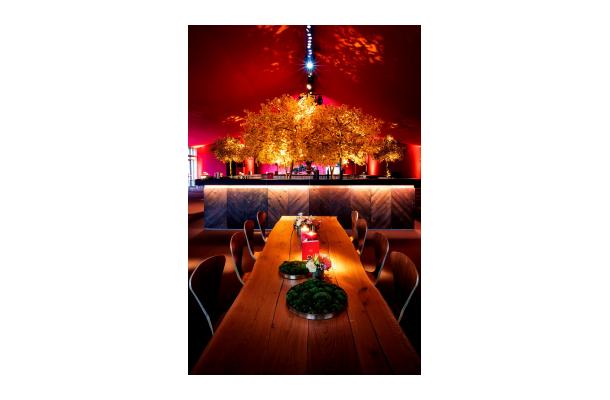 FÆK | Tree Ginkgo yellow two stems 350