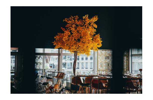 FÆK | Tree Ginkgo yellow two stems 350